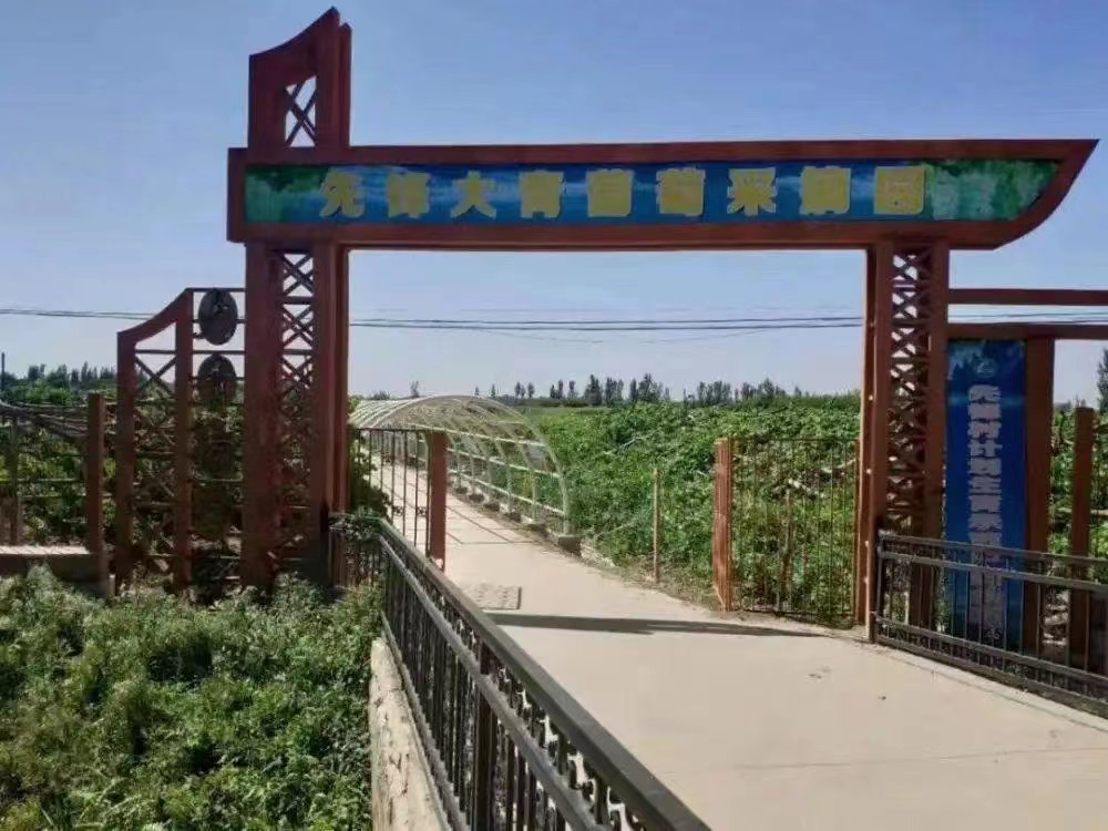 青铜峡塞外香富硒大米(富硒大米标准)-硒宝网