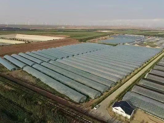 青铜峡塞外香富硒大米(富硒大米标准)-硒宝网