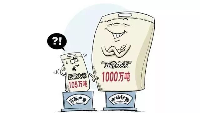 大米富硒造假如何处理（大米造假事件）-硒宝网