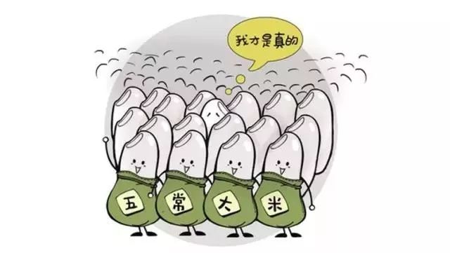 大米富硒造假如何处理（大米造假事件）-硒宝网