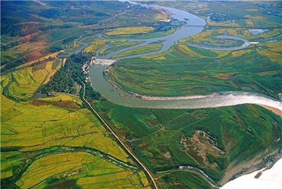 大米富硒造假如何处理（大米造假事件）-硒宝网