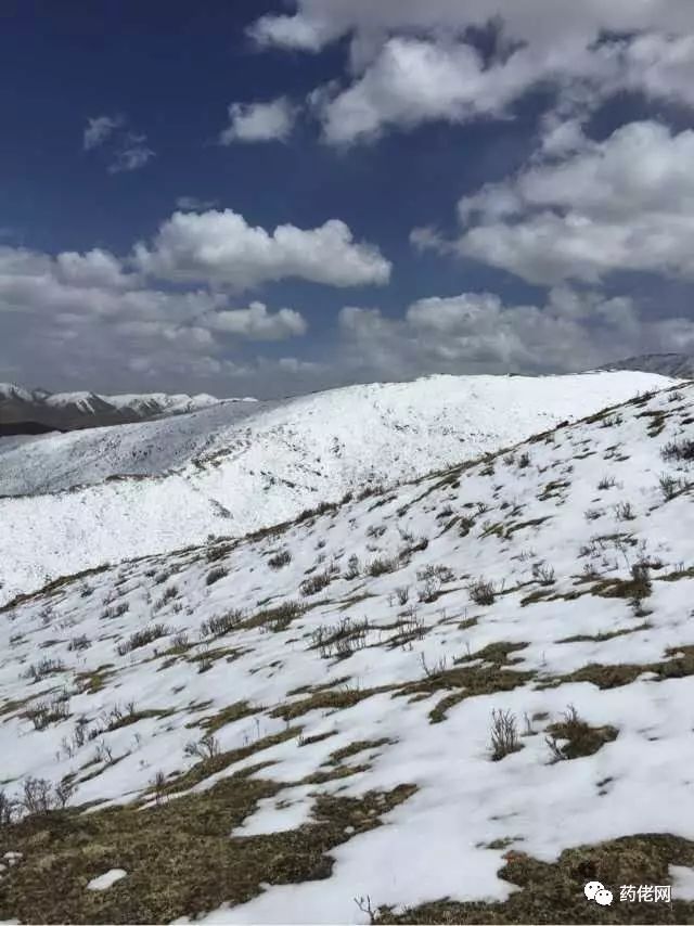 大米富硒造假如何处理(大米造假处理富硒的方法)-硒宝网