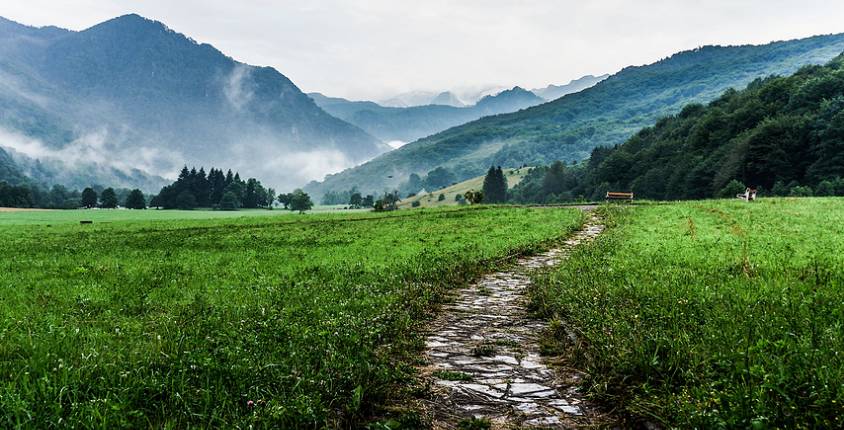 富硒汉粮大米价格多少(富硒大米的价格)-硒宝网