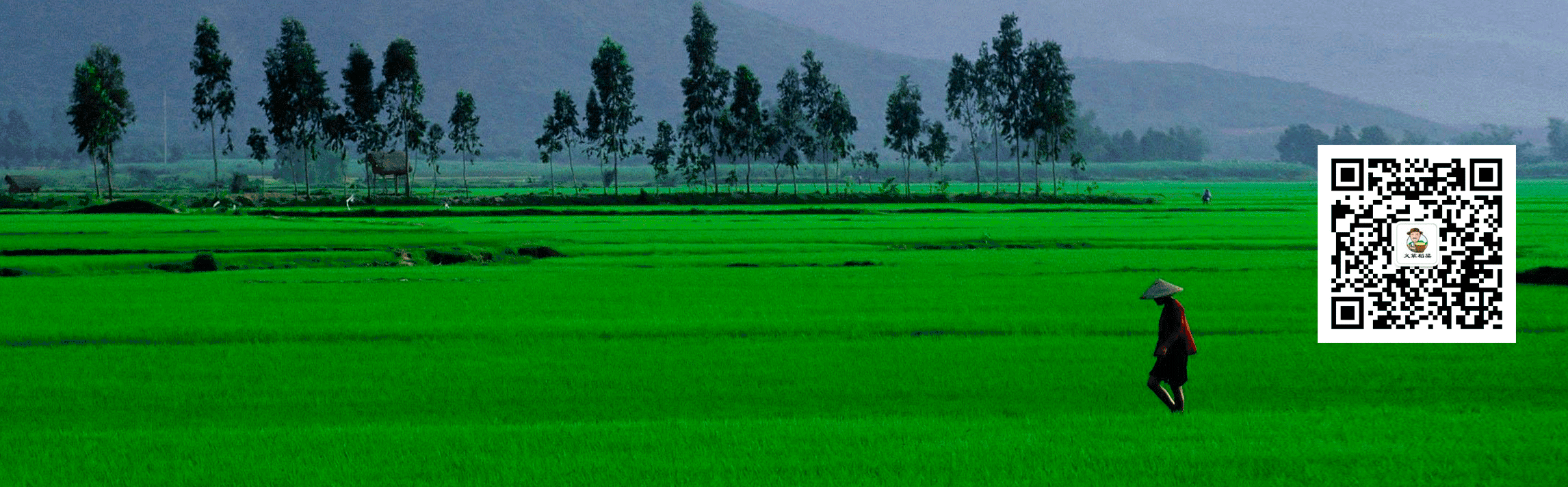 富硒汉粮大米价格多少(富硒大米的价格)-硒宝网