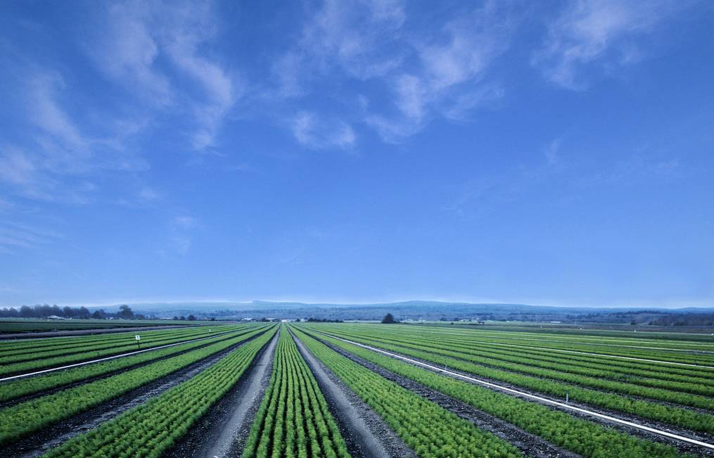 富硒汉粮大米价格多少(富硒大米的价格)-硒宝网