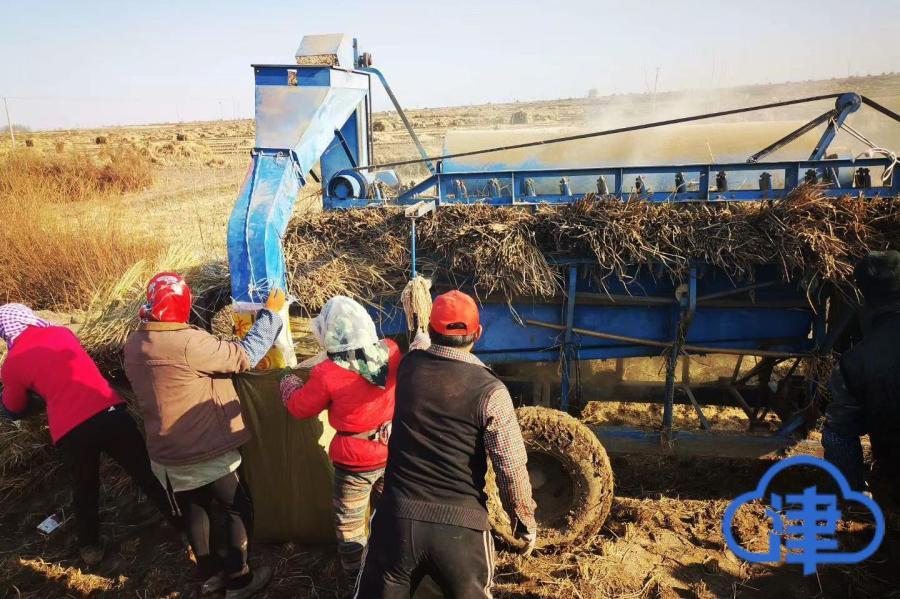 五常大米富硒肥好吃么（富硒大米和五常大米的区别）-硒宝网