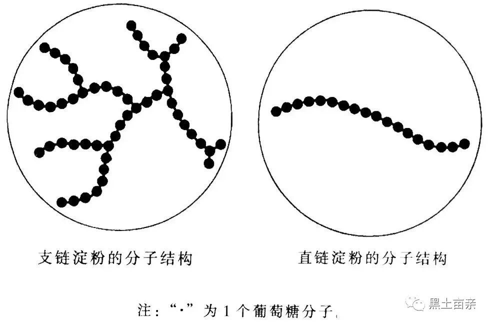 梧桐河富硒大米多少钱(梧桐河米业)-硒宝网
