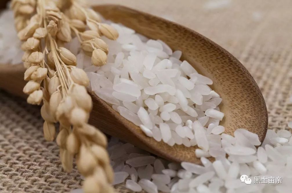 梧桐河富硒大米多少钱(梧桐河米业)-硒宝网