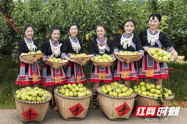 湖南省永州市富硒大米(富硒大米原产地在哪里)-硒宝网