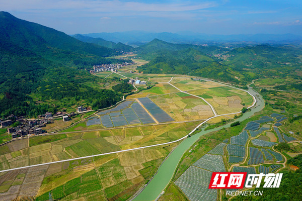 湖南省永州市富硒大米(富硒大米原产地在哪里)-硒宝网