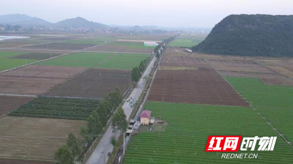 湖南省永州市富硒大米(富硒大米原产地在哪里)-硒宝网