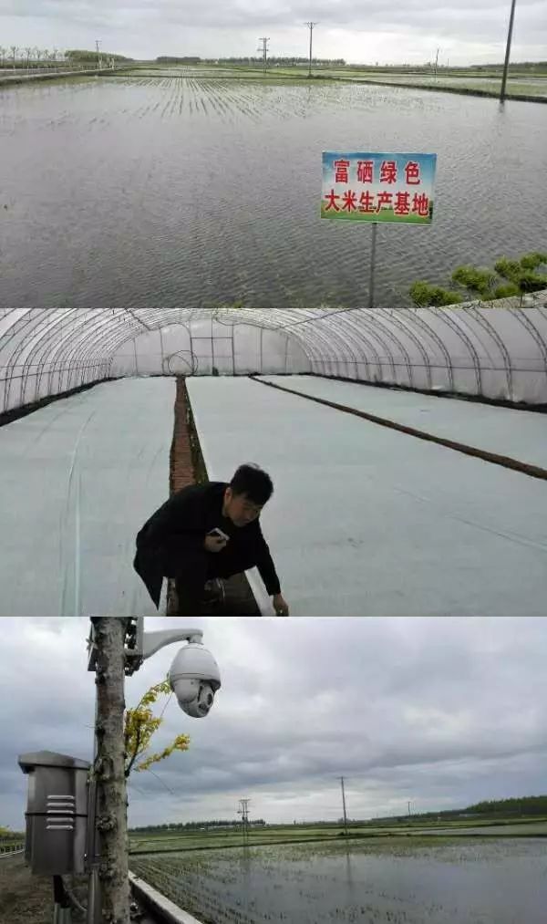 黑龙江省海伦富硒大米（黑龙江有富硒米吗）-硒宝网