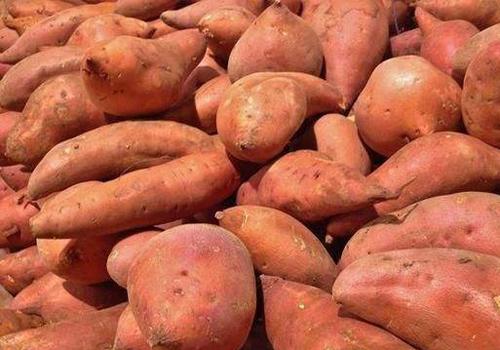 免费送的富硒大米吃吗(富硒大米能补硒吗)-硒宝网