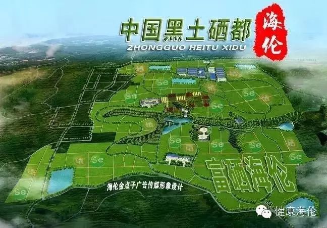 黑龙江省海伦富硒大米(黑龙江产的富硒大米哪里有卖)-硒宝网