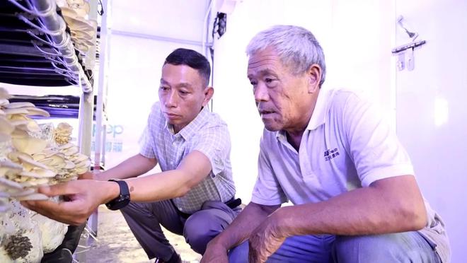 方正县的富硒绥粳大米(方正大米富硒营养米价格)-硒宝网