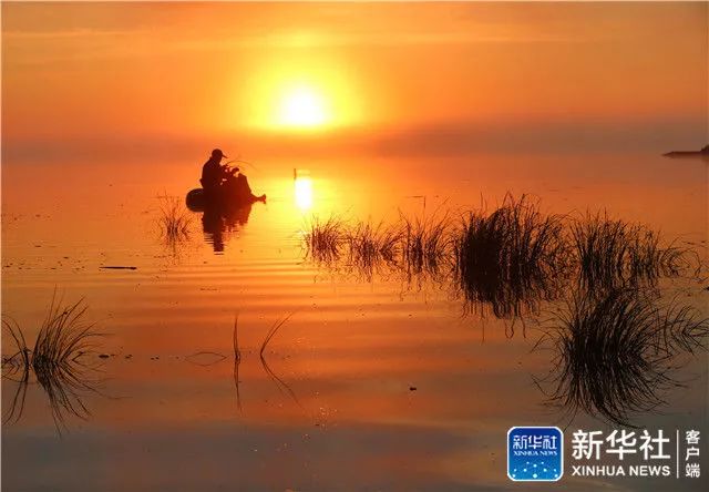 鄂香2号富硒大米价格(富硒优质大米)-硒宝网