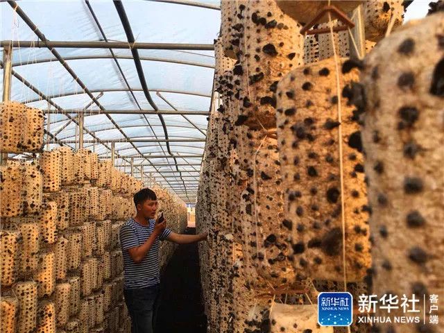 鄂香2号富硒大米价格(富硒优质大米)-硒宝网