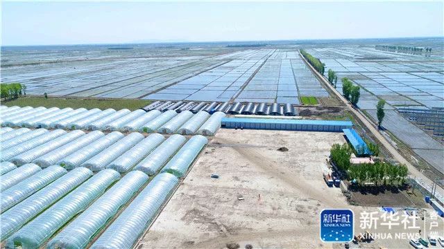 鄂香2号富硒大米价格(富硒优质大米)-硒宝网