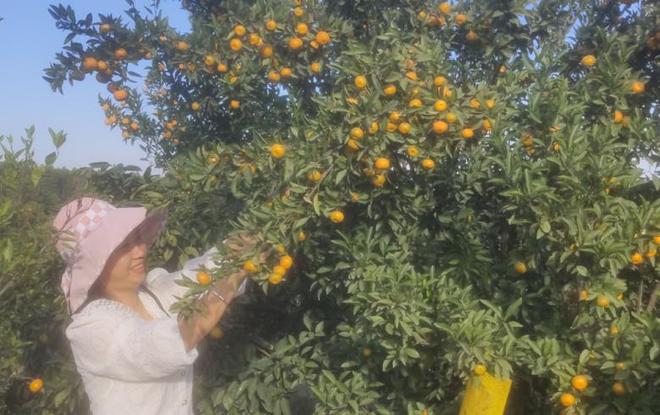 和万安富硒大米哪个好（江西万安富硒大米）-硒宝网