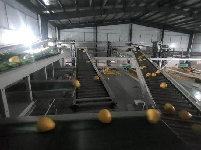 和万安富硒大米哪个好（江西万安富硒大米）-硒宝网