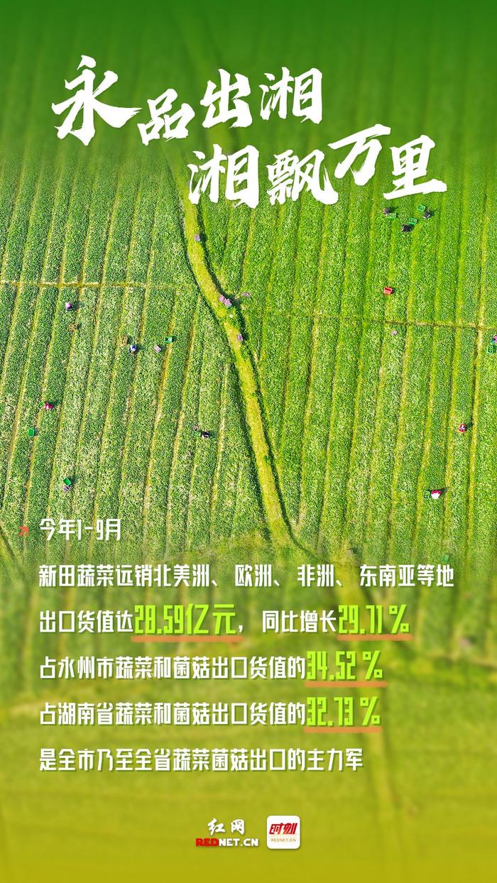 湖南省永州市富硒大米（中国富硒大米地区排名）-硒宝网