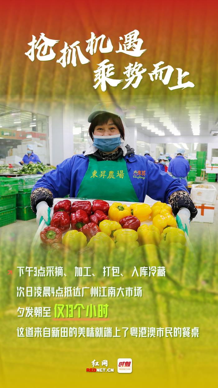 湖南省永州市富硒大米（中国富硒大米地区排名）-硒宝网