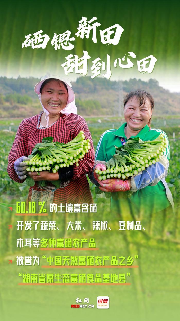 湖南省永州市富硒大米（中国富硒大米地区排名）-硒宝网