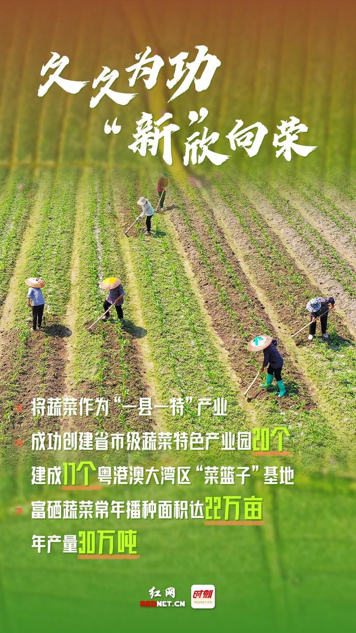 湖南省永州市富硒大米（中国富硒大米地区排名）-硒宝网