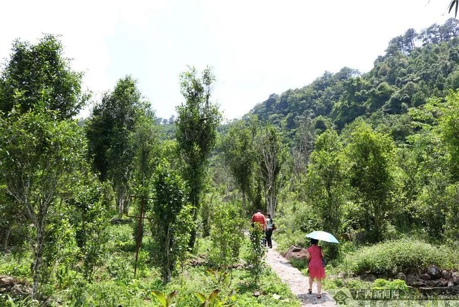 5公斤富硒大米多少钱（富硒大米对人体的好处）-硒宝网