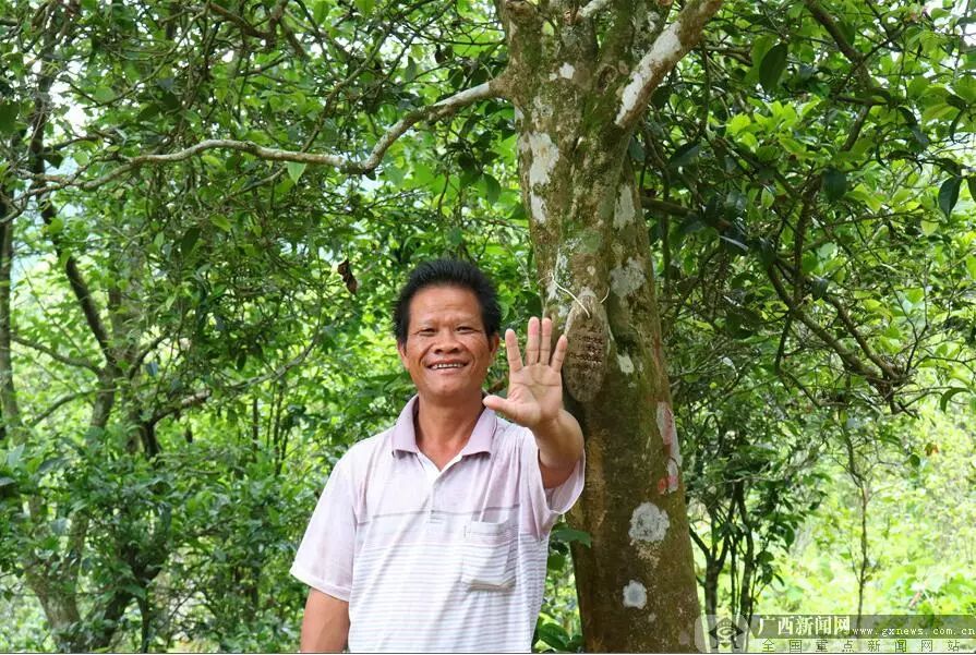 5公斤富硒大米多少钱（富硒大米对人体的好处）-硒宝网