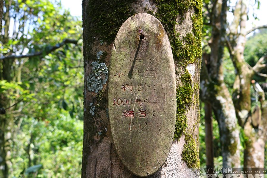 5公斤富硒大米多少钱（富硒大米对人体的好处）-硒宝网