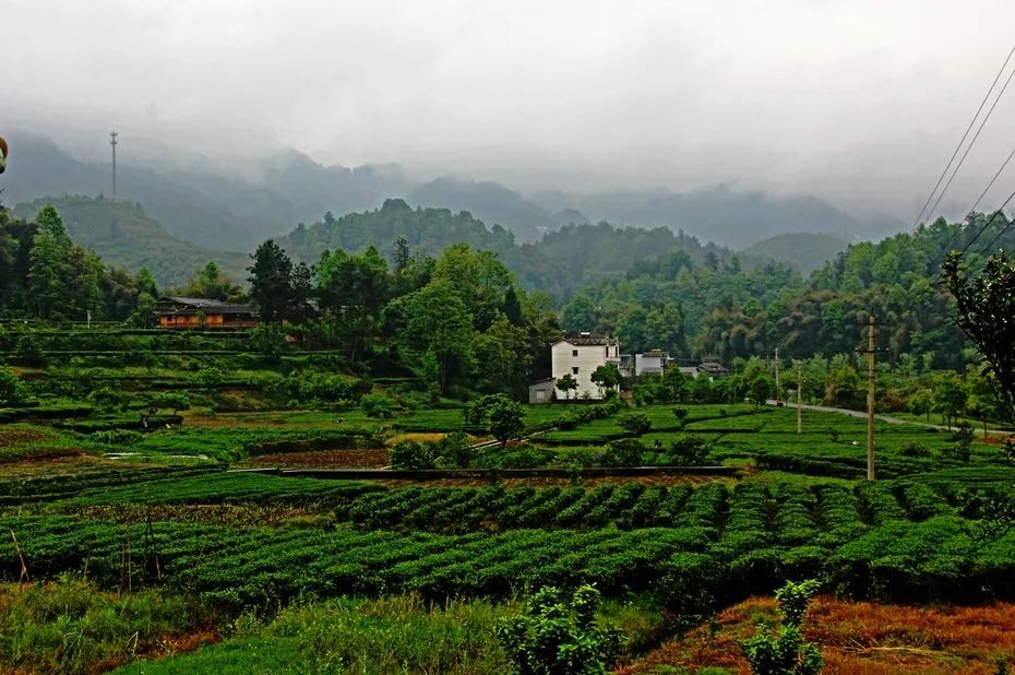 湖北省恩施市富硒大米(湖北恩施最好的富硒米)-硒宝网