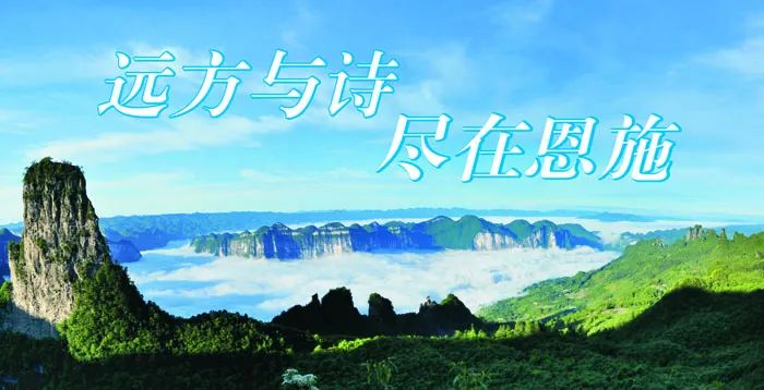 湖北省恩施市富硒大米(湖北恩施最好的富硒米)-硒宝网