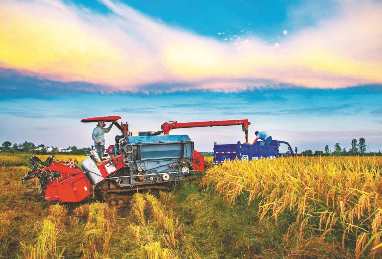 湖北省仙桃市富硒大米（仙桃富硒农产品）-硒宝网