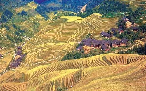 广西陆川富硒大米公司（贺州富硒大米）-硒宝网