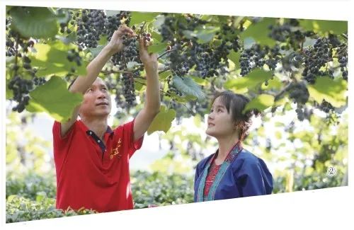 广西陆川富硒大米公司（贺州富硒大米）-硒宝网