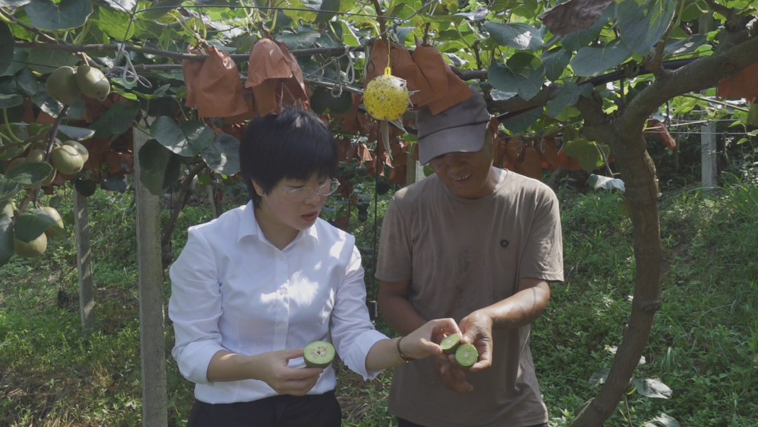 富硒大米怎么做电商的(富硒大米生产技术)-硒宝网