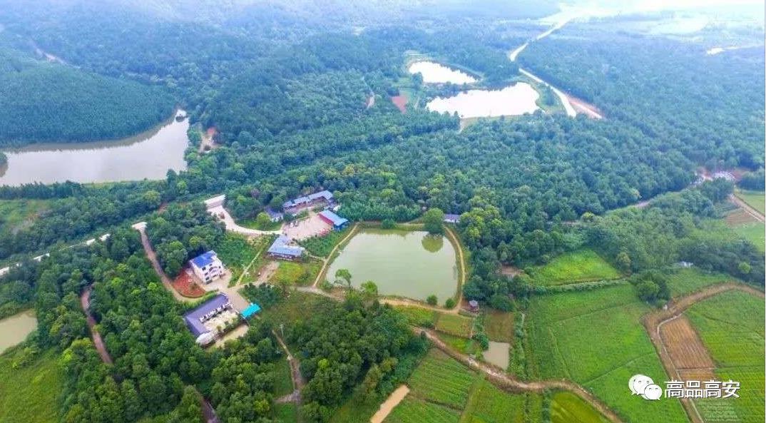 鄱阳湖富硒大米怎么样（鄱阳湖大米区域品牌）-硒宝网