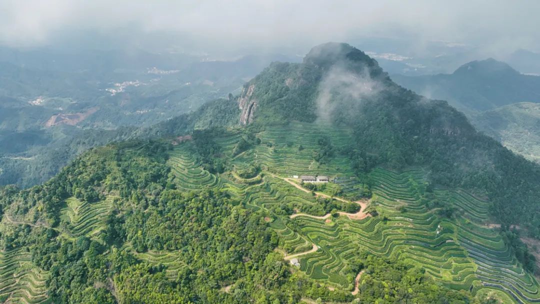 一只鼎富硒大米好吃吗(富硒大米什么味道)-硒宝网