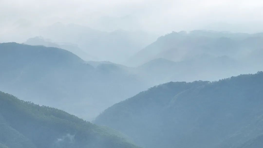一只鼎富硒大米好吃吗(富硒大米什么味道)-硒宝网