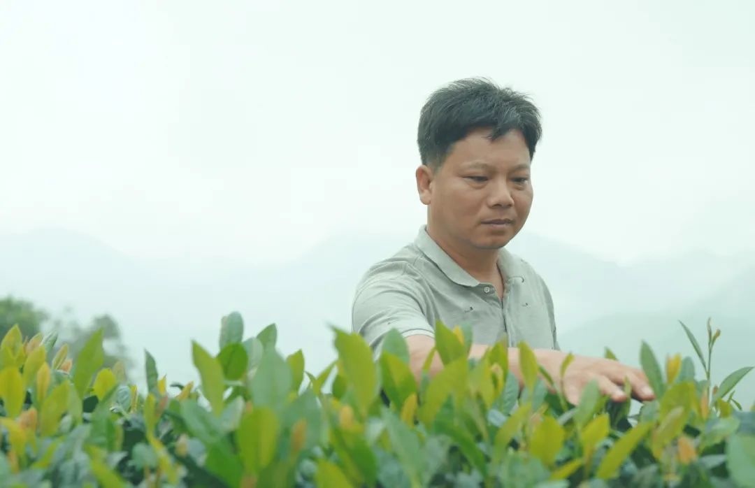 一只鼎富硒大米好吃吗(富硒大米什么味道)-硒宝网