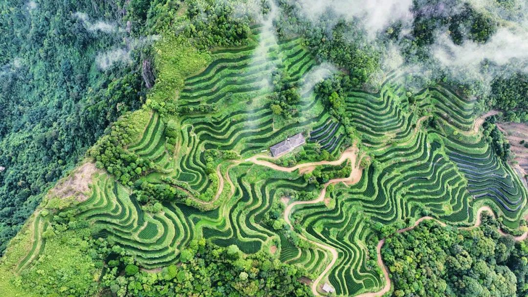 一只鼎富硒大米好吃吗(富硒大米什么味道)-硒宝网