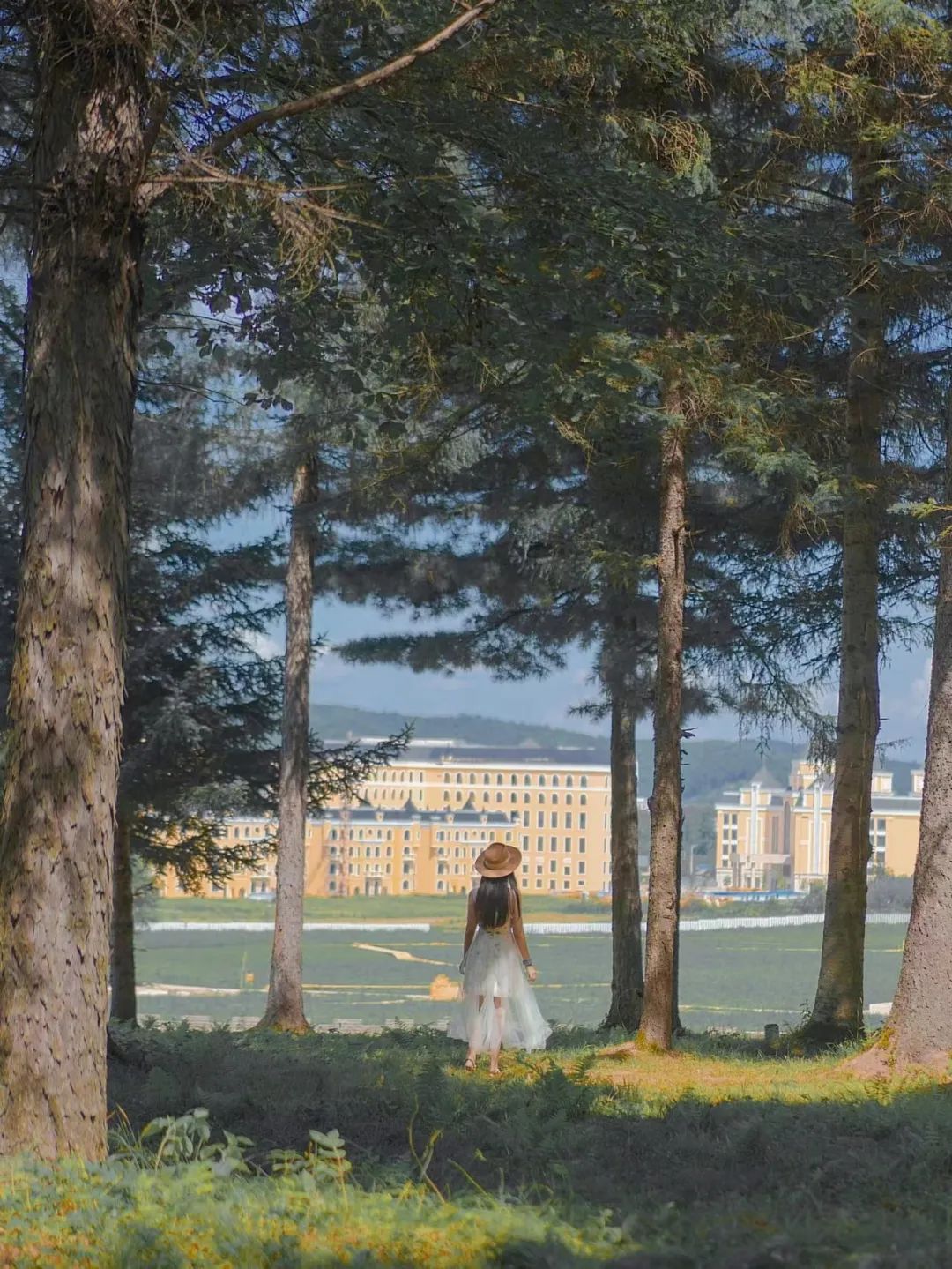 大兴安岭有机富硒大米（吉林富硒大米价格）-硒宝网