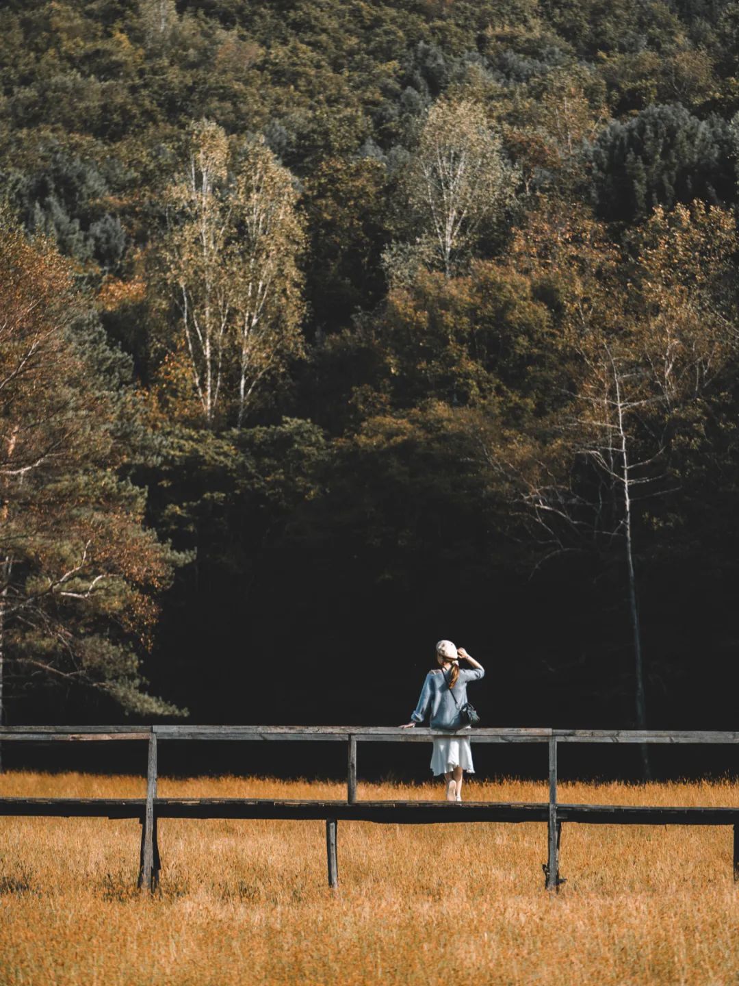 大兴安岭有机富硒大米（吉林富硒大米价格）-硒宝网