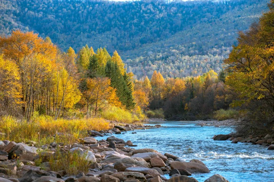 大兴安岭有机富硒大米（吉林富硒大米价格）-硒宝网