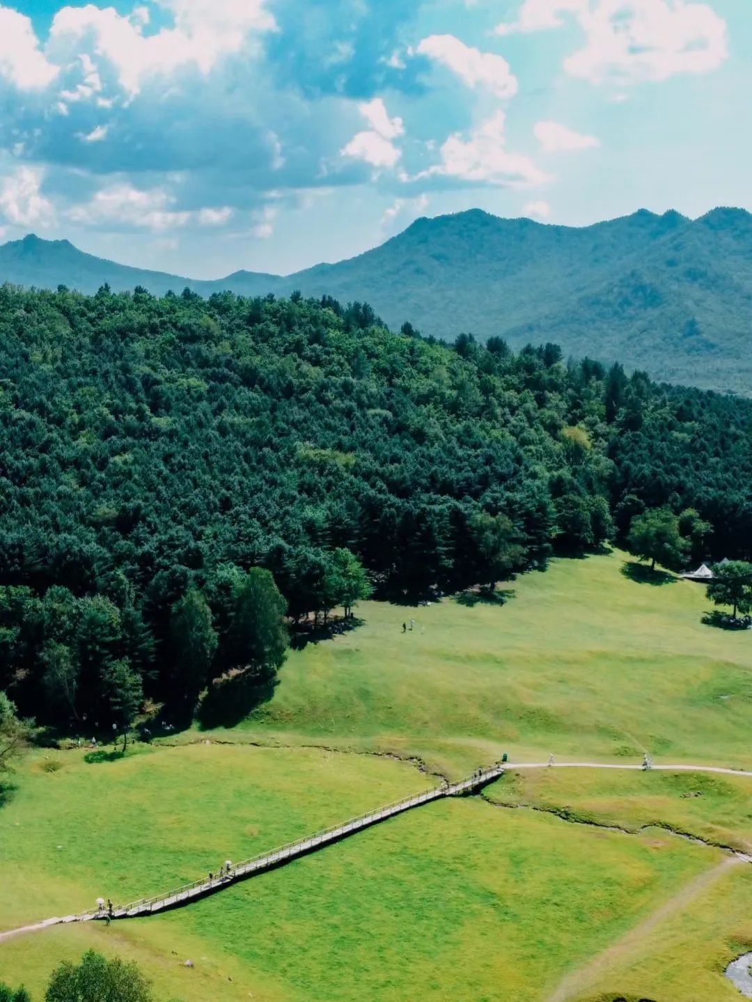 大兴安岭有机富硒大米（吉林富硒大米价格）-硒宝网