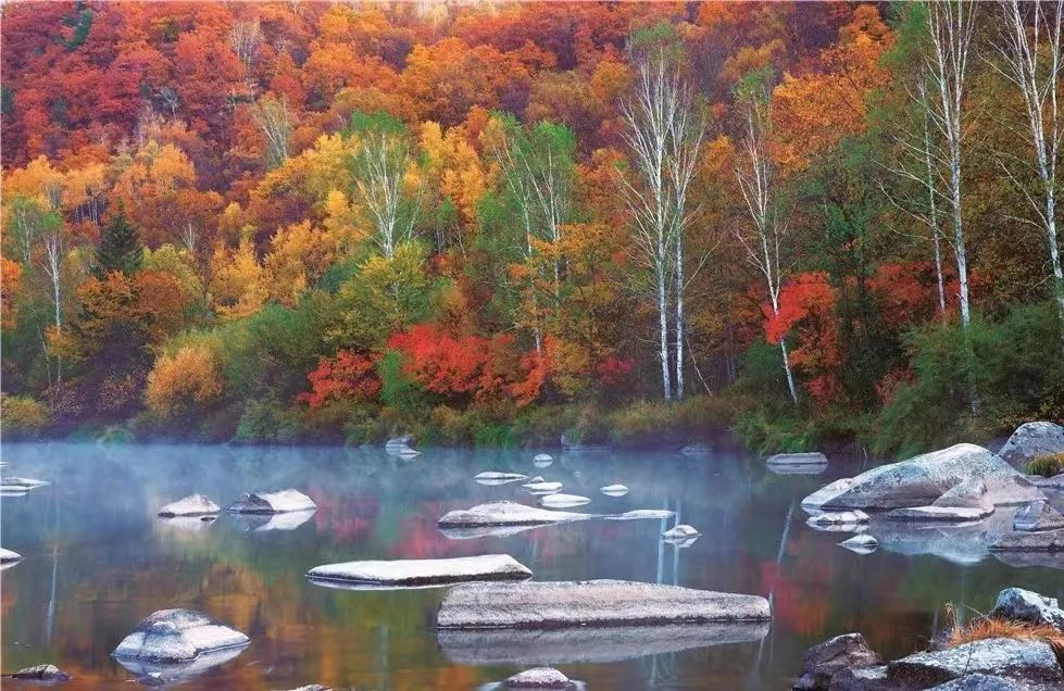 大兴安岭有机富硒大米（吉林富硒大米价格）-硒宝网