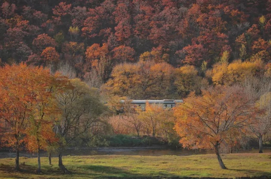 大兴安岭有机富硒大米（吉林富硒大米价格）-硒宝网