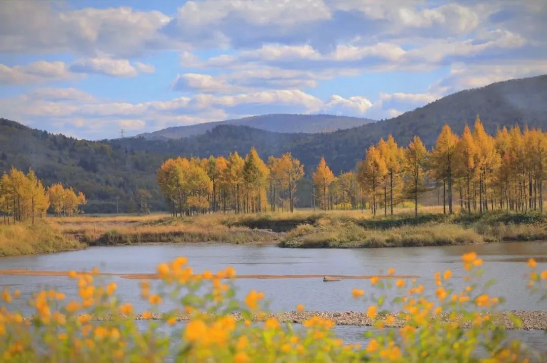 大兴安岭有机富硒大米（吉林富硒大米价格）-硒宝网