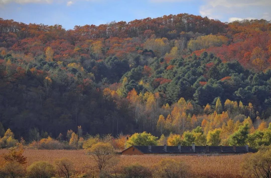 大兴安岭有机富硒大米（吉林富硒大米价格）-硒宝网